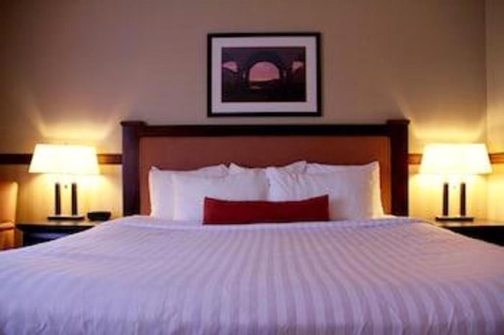 Best Western Diamond Inn Three Hills Экстерьер фото