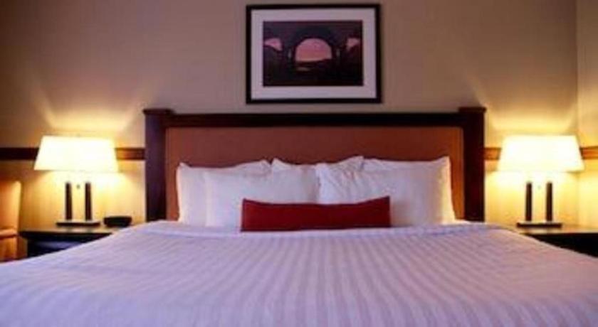 Best Western Diamond Inn Three Hills Экстерьер фото