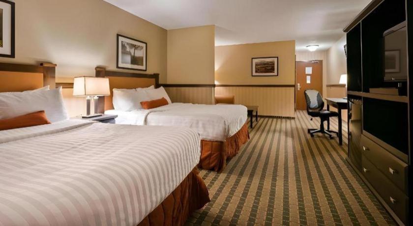 Best Western Diamond Inn Three Hills Экстерьер фото