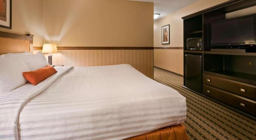 Best Western Diamond Inn Three Hills Экстерьер фото